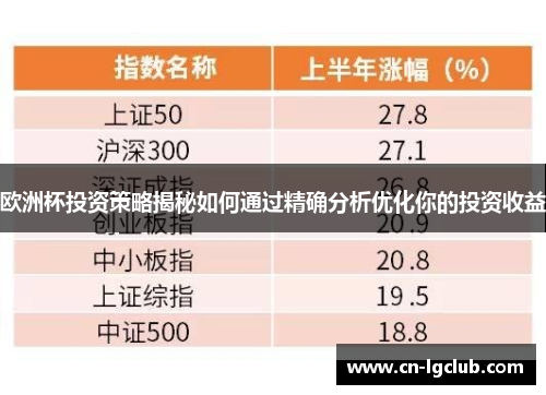 欧洲杯投资策略揭秘如何通过精确分析优化你的投资收益