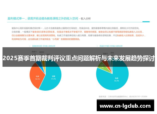 2025赛季首期裁判评议重点问题解析与未来发展趋势探讨