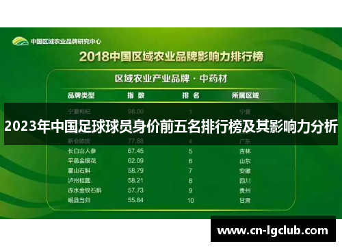 2023年中国足球球员身价前五名排行榜及其影响力分析
