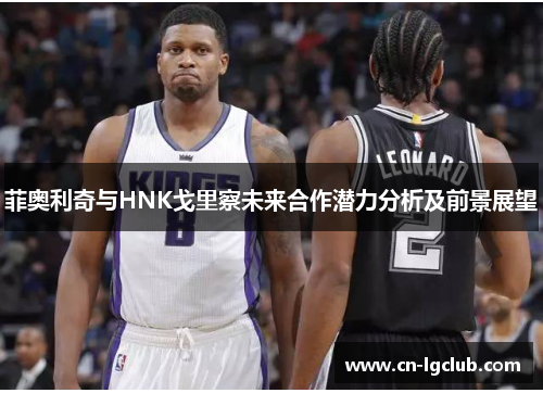 菲奥利奇与HNK戈里察未来合作潜力分析及前景展望