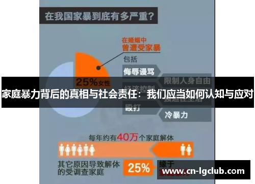 家庭暴力背后的真相与社会责任：我们应当如何认知与应对