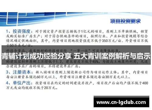 青辅计划成功经验分享 五大青训案例解析与启示