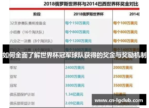 如何全面了解世界杯冠军球队获得的奖金与奖励机制