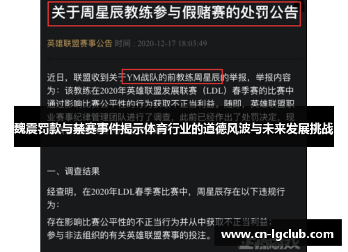 魏震罚款与禁赛事件揭示体育行业的道德风波与未来发展挑战