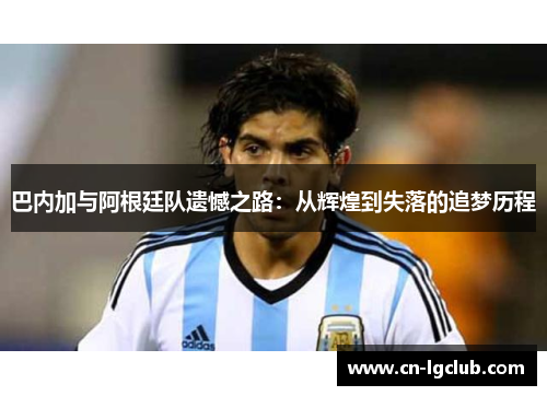 巴内加与阿根廷队遗憾之路：从辉煌到失落的追梦历程