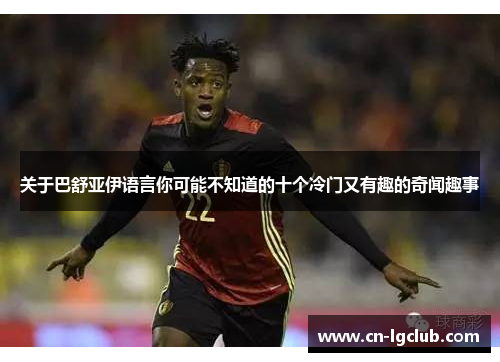 关于巴舒亚伊语言你可能不知道的十个冷门又有趣的奇闻趣事