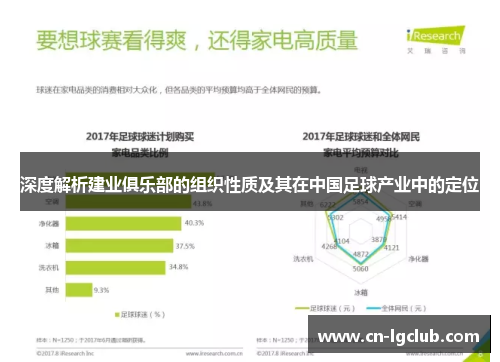 深度解析建业俱乐部的组织性质及其在中国足球产业中的定位
